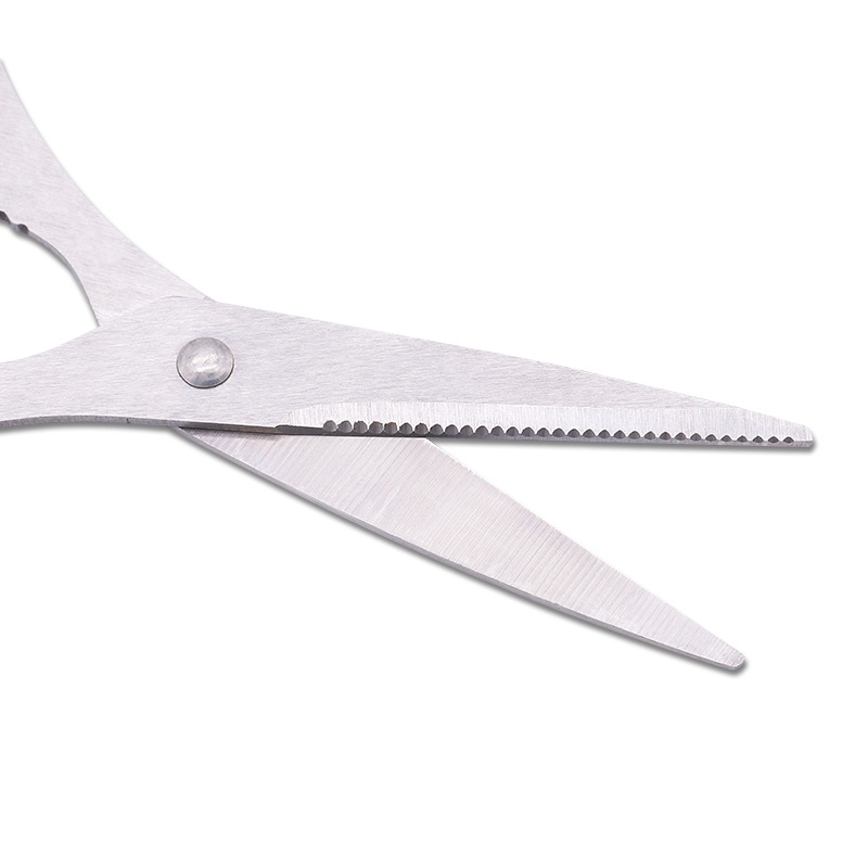 กรรไกรสแตนเลส ตัดได้หลากหลาย ใ - Baby Food Scissors บทวิจารณ์และราคา