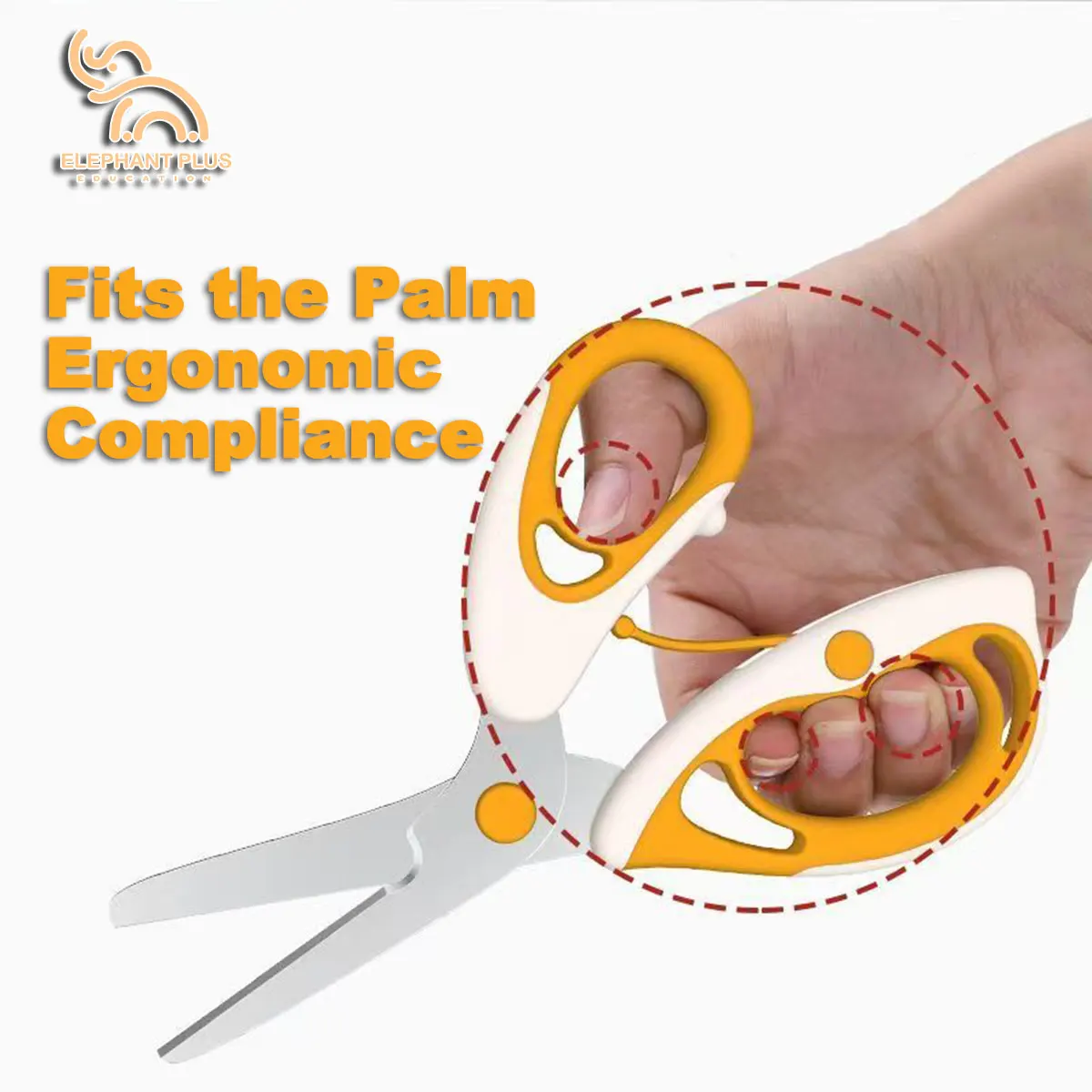 กรรไกรตัดอาหารสำหรับเด็ก｜เครื่ - Baby Food Scissors บทวิจารณ์และราคา